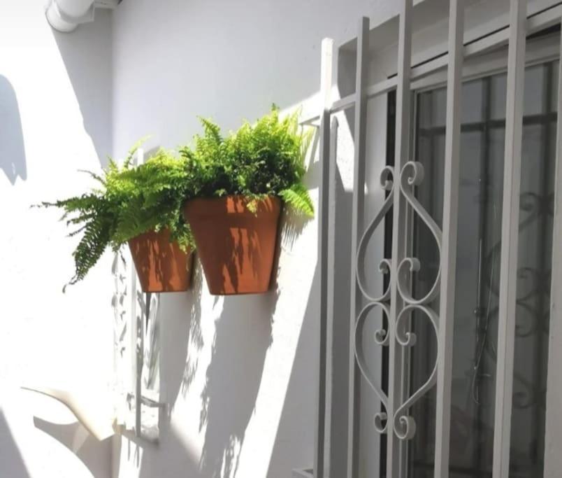 Вилла La Marieta, Casita Acogedora Y Centrica Касетлья да ла Квеста Экстерьер фото